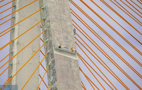 礐石大桥维修涂装工程全面进入施工高峰期